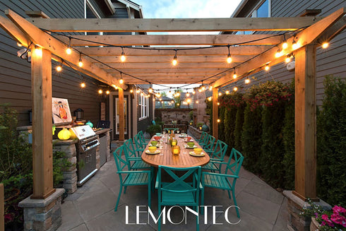 Lemontec Commercial Grade Outdoor String Lights with 15 Hanging Sockets - 48 Ft Black Weatherproof Cord Weatherproof Strand for Patio Garden Porch Backyard Party Deck Yard S14 Black