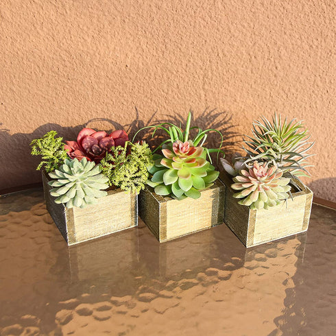 Mingfuxin Artificial Succulents Plants, Mini Assorted Green Faux Succulents in Pots, Small Succulents Plants Artificial with Wood Potted for Home Office Living Room Table Desk Plants Decor, Set of 3