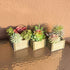 Mingfuxin Artificial Succulents Plants, Mini Assorted Green Faux Succulents in Pots, Small Succulents Plants Artificial with Wood Potted for Home Office Living Room Table Desk Plants Decor, Set of 3