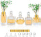 Diffuser Glass Bottles Set of 5 DIY Empty Clear Glass Fragrance Bottle with Gold Caps Reeds Sticks Vase Decorative Oil Diffusers for Home Office Desk Decoration Wedding Replacement Girl Women Gift