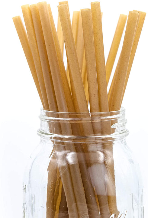LK3 Certified Compostable Sugarcane Straws 200 Pack: 100% Plant Based, Biodegradable, No Plastic, ASTM D6400, Reusable Drinking Straws | Alternative to Paper and Plastic Straws (Paper Wrapped)