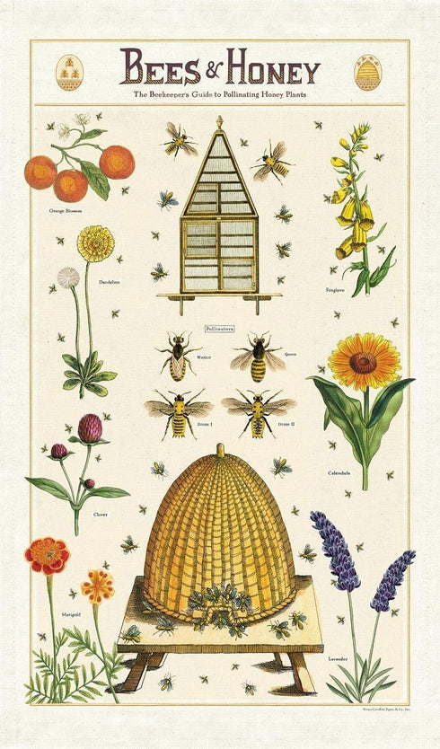 Cavallini Papers & Co. Bees & Honey Tea Towel, Multi