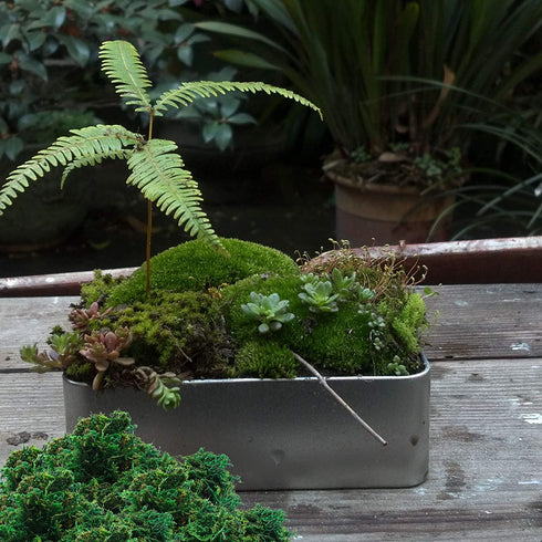 Timoo Fake Moss for Plants, Artificial Green Moss for Flower Plant Garden Lawn Crafts Wedding Decoration