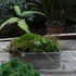 Timoo Fake Moss for Plants, Artificial Green Moss for Flower Plant Garden Lawn Crafts Wedding Decoration