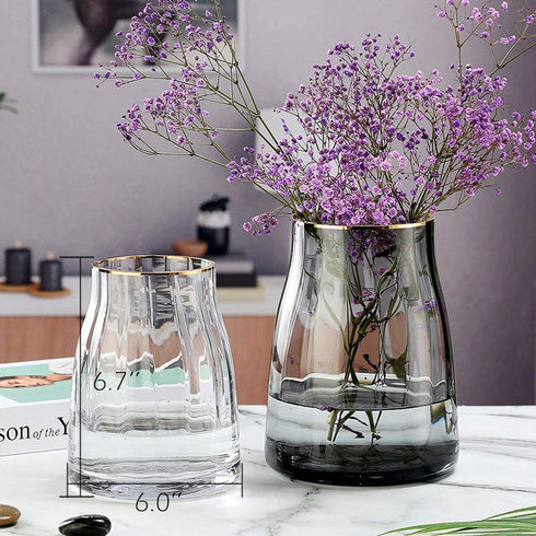VanEnjoy 7 inch Clear Simple Glass Flower Vase, Decorative Gilded Rim Vase Home Decor for Indoor Centerpiece