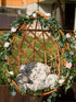 Der Rose 2 Packs 6.2 Feet Artificial Silver Dollar Eucalyptus Leaves Garland with Willow Vines Twigs Leaves String for Doorways Greenery Garland Table Runner Garland Indoor Outdoor.