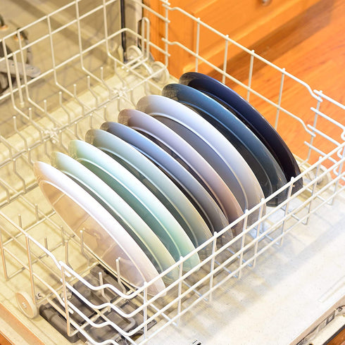 Youngever 10 Inch Plastic Plates, Large Plates, Dinner Plates, Set of 9 (9 Urban Colors)