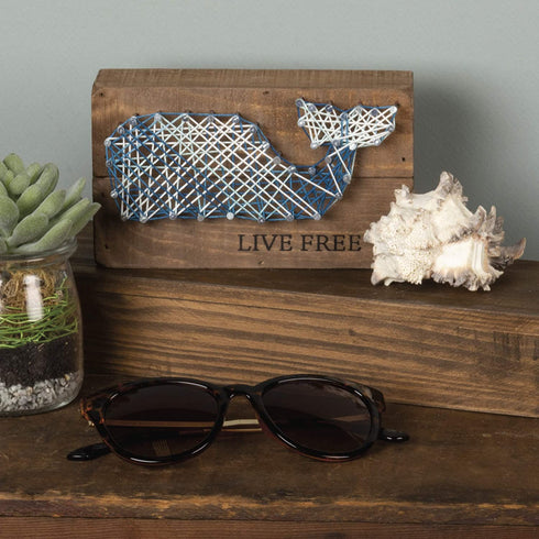 Primitives by Kathy String Art Box Sign, 3.5 x 6, Live Free