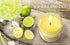 Rita Margarita - Lime Margarita Fragrance - Decorated with Salt - Large Soy Candle in a Kraft Box