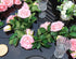 Meiliy 5 Pack 6.6 FT Artificial Flower Garland,Fake Pink Rose Hanging Flower Vines for Home Wedding Party Decor