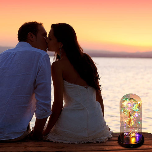 Beauty and The Beast Rose, Gifts for Her Wife Mom, Enchanted Rose in Glass Dome, Women Birthday, Lights and Flowers