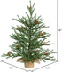 Vickerman 18" Caramel Pine Artificial Christmas Tree Unlit, Seasonal Indoor Home Decor with Decorative Burlap Base