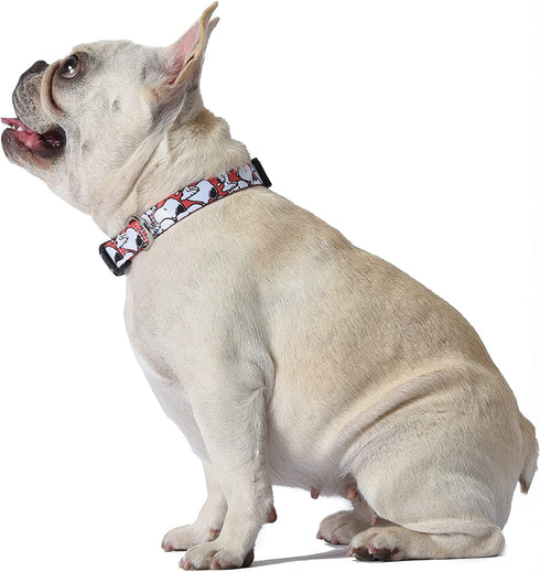 Peanuts for Pets Snoopy Dog Collar, Large | Large Dog Collar Snoopy Gifts Officially Licensed by | Red and White Peanut Snoopy Dog Collar Dog Apparel & Accessories, Multi (Model: FF15499)
