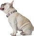 Peanuts for Pets Snoopy Dog Collar, Large | Large Dog Collar Snoopy Gifts Officially Licensed by | Red and White Peanut Snoopy Dog Collar Dog Apparel & Accessories, Multi (Model: FF15499)