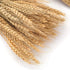 yarlung 300 Stems 16 Inch Dried Wheat Sheaves, Natural Wheat Stalks Bundle Fall Arrangement for DIY Craft, Home Table, Wedding