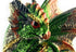 Aint It Nice Dragon Rock Faux Geode Cavern Sparkling Medieval Collectible Fantasy Figurine Statue Décor, 4 X 3 X 1.5 inches (Green)