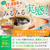 FINE Japan Green Tea & Coffee Diet (30 Sticks / 30-Day Course) New English package