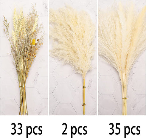 70 Pcs Natural Pampass Grass Set | 17in Boho Pampas Grass Plants-Natural Dried Pampas Grass Decor for Home Arrangements, Wedding Kitchen Yard Decor