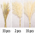 70 Pcs Natural Pampass Grass Set | 17in Boho Pampas Grass Plants-Natural Dried Pampas Grass Decor for Home Arrangements, Wedding Kitchen Yard Decor