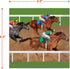 Horse Racing Derby Paper Dinner Plates and Luncheon Napkins (Serves 16)