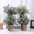 Artificial Topiaries Plants & Flowers, 4 Pcs Mini Plants Artificial Potted Set Fake Green Grass Plant Faux Plastic Topiary for Home Office Desk Bathroom Kitchen Counter Decoration (Nature)