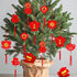 Whaline 36 Pieces Chinese New Year Decorations Chinese Knot Pendant Red Hanging Ornaments,Lucky Fu Pendants for New Year Home Office Car Trees Spring Festival New Year Decorations (6 Designs)