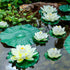 8Pcs Artificial Floating Lotus Decor with Lily Pad, Ivory White Plastic Foam Lotus Flowers with Water Lily Pad, Realistic Lotus Flower for Garden Koi Fish Pond Aquarium Pool Wedding Decor