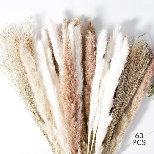 ANKRA 60 Pcs Natural Dried Pampas Grass, 15 Pcs White Pampas & 15 Pcs Brown Pampas & 30 Pcs Reed Grass, 20" Fluffy Pampas Grass Decor, Dried Pampas Grass for Flower Arrangements Home Decor, (ANKRA-01)