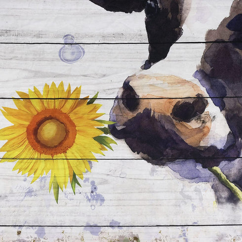 HVEST Funny Cow Get Naked Shower Curtain for Bathroom Decor, Farmhouse Animal Bull Cattle and Sunflower in Retro Bathtub Shower Curtains 72x72 Inches with Hooks Set Waterproof Fabric Bath Accessories