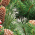 Amaoasis 9 Feet Pre-Lit Christmas Garland, Mixed Pine Decorated with Frosted Berries, Pinecones, 70 Lights Plug in, for Mantle Staircase Indoor and Outdoor