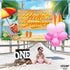 XtraLarge, Hello Summer Banner - 72x44 | Summer Birthday Banner for Hawaiian Party Decorations | Summer Beach Party Decorations | Aloha Banner for Luau Party Decorations | Flamingo Party Decorations