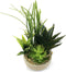 Allgala Small Desktop Artificial Combination Succulent Plant Group with Natural Clay Pot