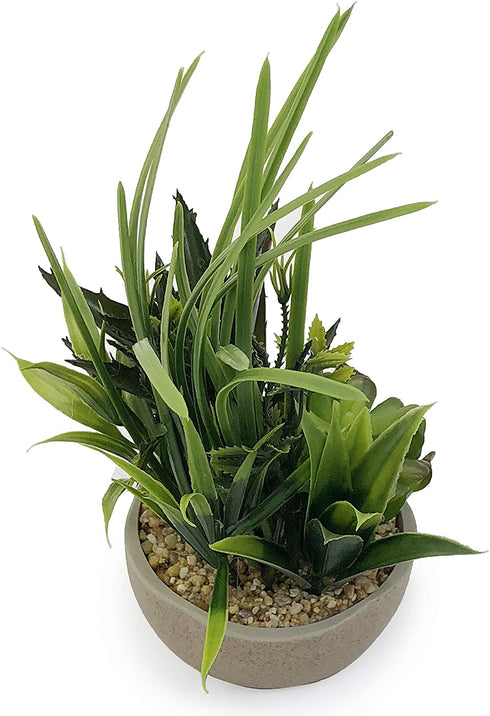 Allgala Small Desktop Artificial Combination Succulent Plant Group with Natural Clay Pot