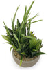 Allgala Small Desktop Artificial Combination Succulent Plant Group with Natural Clay Pot