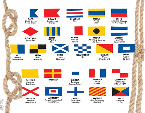 Tervis Nautical Flag Insulated Tumbler with Wrap and Navy Lid, 24oz, Clear