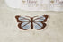 SKL Home by Saturday Knight Ltd. New Hope Rug, Multicolored