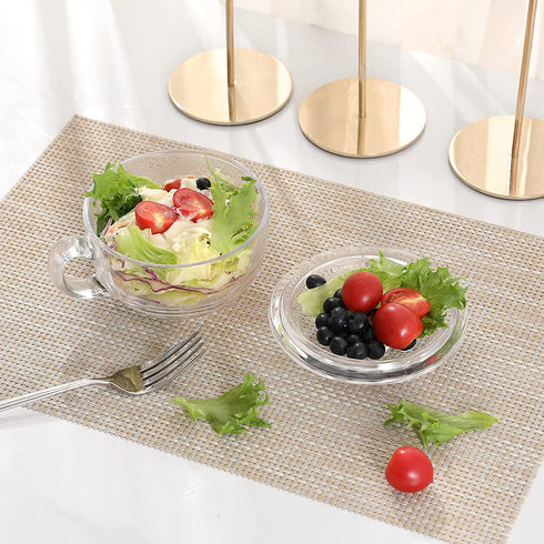Glass Cereal Bowl Glass Soup Bowl with Handle , Clear Small Bowls with Glass Lid Oatmeal Breakfast Bowls Microwave Safe Glassware Yogurt Bowl for Dessert Pasta Rice,600ml/20 oz