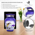 Hummingbird Keepsake Urn Purple - Mini Cremation Urn with Premium Box & Bags - Memorial Urn for Human Ashes - Honor Your Loved One with Small Purple Urn - Perfect Bird Urn for Adults & Infants