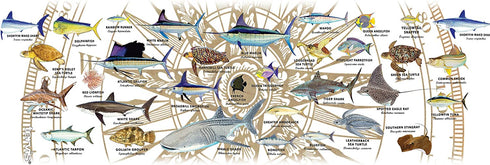 Tervis Made in USA Double Walled Guy Harvey Insulated Tumbler Cup Keeps Drinks Cold & Hot, 16oz Mug, Charts