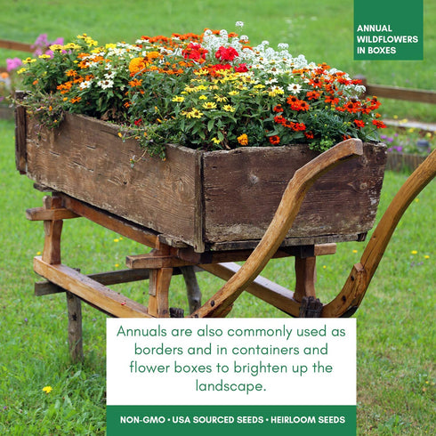 112,000+ Wildflower Seeds: Bulk Mix of 21 Varieties, Non-GMO Wild Flower Seed | Bee and Butterfly Garden Variety Pack | Annual Flowers Seeds for Planting | Native Wildflower Plants for Your Garden