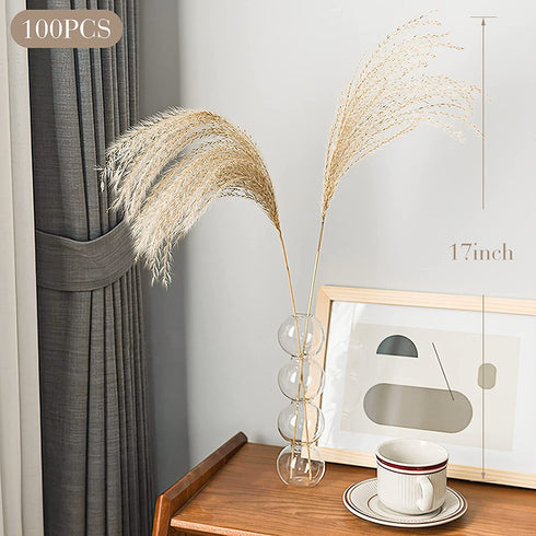 Dried Pampas Grass Decor Vase Home Design Arrangements,Natural Pompous Grass Plants Fluffy Artificial Faux Reed Flower Stems Bunch for Wedding Door Wreath Boho Living Room Decoration (100PCs Reed)