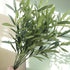 FUNARTY 5pcs 37" Tall Artificial Olive Branches for Vases Greenery Stems with 270 Olive Leaves, Fake Eucalyptus Branches for Vase Bouquets Wedding Floral Arrangement, Greenery Decor