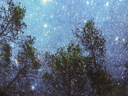 Forest Starry Tapestry Wall Tapestry Wall Hanging Galaxy Tapestry Hippie Milky Way Tapestry Sky Tapestry Tree Tapestry Night Sky Tapestry Mandala Bohemian Tapestry for Bedroom Dorm Decor