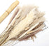 HYGQAXKO 65Pcs Natural Dried Pampas Grass Large, White Fluffy Pampas Grass, Pompass Grass Plant Decor Tall, Pampas Grass Bouquet Decor, Artificial Pompous Grass for Home, Wedding and Party Decor