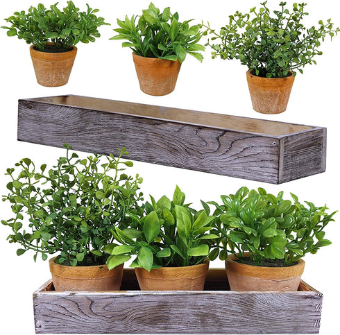 Set of 3 Mini Artificial Plants Greenery Eucalyptus Boxwood in Terracotta Pot with Wood Box Indoor Office Apartment Wedding Tabletop