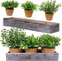 Set of 3 Mini Artificial Plants Greenery Eucalyptus Boxwood in Terracotta Pot with Wood Box Indoor Office Apartment Wedding Tabletop