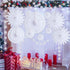 cnomg 12pcs Winter Wonderland Snowflake Party Decorations Set Hanging White Paper Fan Decor Snowflakes Garlands Banner Decoration for Frozen Birthday ChristmasTree New Year Baby Shower Wedding (White)