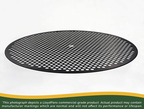 LloydPans Hex Disk, Pre-Seasoned PSTK (1, 10 inch)