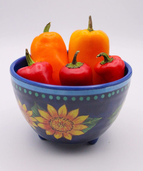 Bundle Bop Chips and Salsa Chip Dip Bowl Set - Melamine Spanish 6 Piece Small Bowl Set Painted Blue Dishes with Sunflowers - Serving Bowls for Party and Fiestas (6)