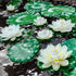 8Pcs Artificial Floating Lotus Decor with Lily Pad, Ivory White Plastic Foam Lotus Flowers with Water Lily Pad, Realistic Lotus Flower for Garden Koi Fish Pond Aquarium Pool Wedding Decor